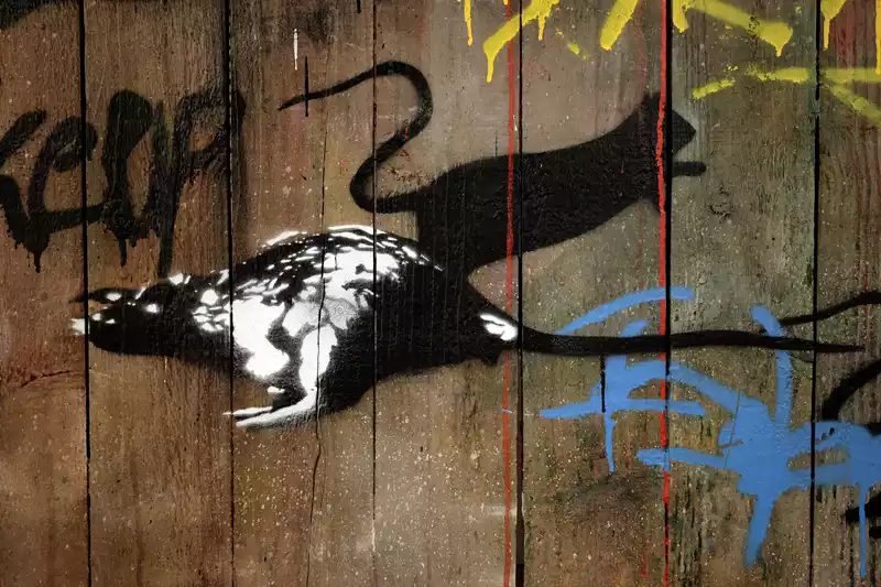 Blek le Rat 작품 이미지